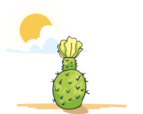 Прописка на 1 Год