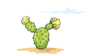 Прописка на 2 Года